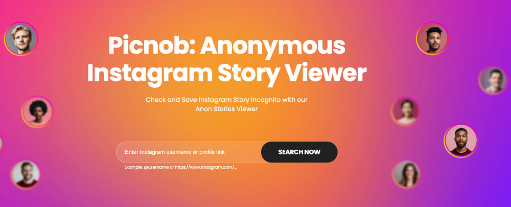 Picnob — Best for Full Anonymous Profile Browsing