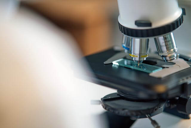 Protein Under The Microscope. How To Choose The Right Raw Material For Supplements, Bars And functional products? Protein Under The Microscope. How To Choose The Right Raw Material For Supplements, Bars And functional products?