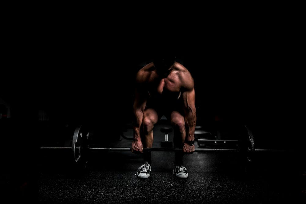 How the Fitness Certification Market is Changing for 2026 How the Fitness Certification Market is Changing for 2026